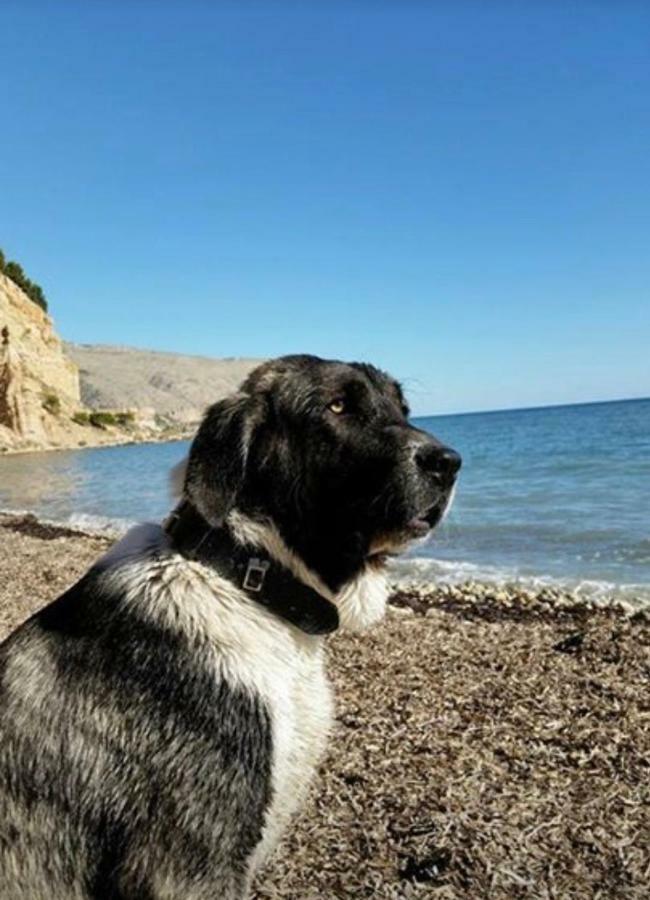 Altea, Callejeando Por Su Casco Antiguo. Екстер'єр фото